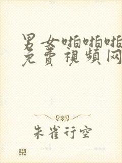 男女啪啪啪啪啪免费视频网站