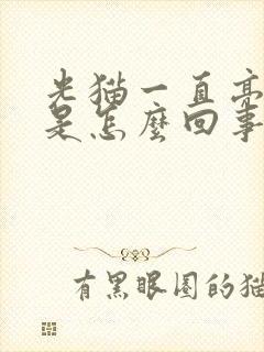 光猫一直亮红灯是怎么回事