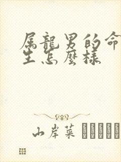 属龙男的命运一生怎么样