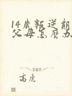 14岁叛逆期打父母怎么办