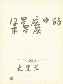 12星座中的风象星座