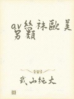 av丝袜欧美老另类