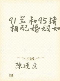 91羊和95猪相配婚姻如何