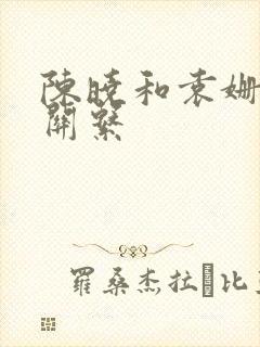 陈晓和袁姗姗的关系