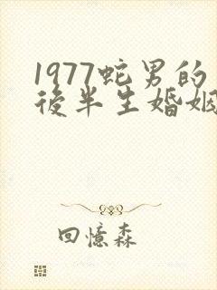 1977蛇男的后半生婚姻封面