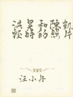 洪晃和陈凯歌年轻时的照片