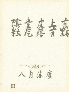 阴囊皮上有小米粒疙瘩有点痒