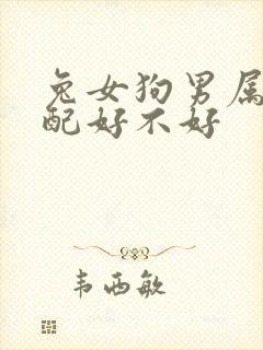 兔女狗男属相婚配好不好封面