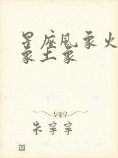 星座风象火象水象土象