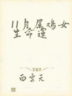 11月属鸡女一生命运