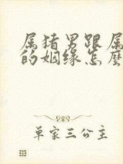 属猪男跟属蛇女的姻缘怎么样