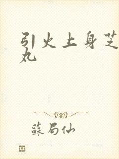 引火上身芝麻糖丸封面