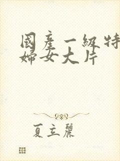 国产一级特黄老妇女大片