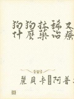 狗狗拉稀又吐用什么药治疗