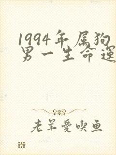 1994年属狗男一生命运