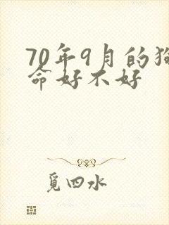 70年9月的狗命好不好封面