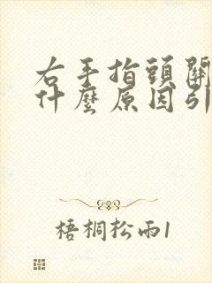 右手指头关节痛什么原因引起的