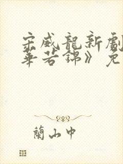 宋威龙新剧《韶华若锦》免费观看全集