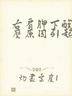 右肩胛下酸痛什么原因引起的封面