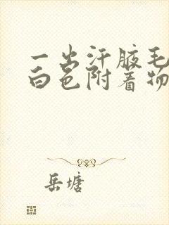 一出汗腋毛上有白色附着物封面