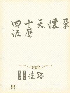 四十天怀孕能药流么封面