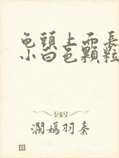 龟头上面长一个小白色颗粒