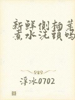 新鲜侧柏叶可以煮水洗头吗