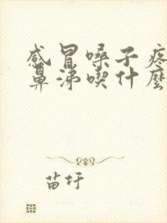 感冒嗓子疼流清鼻涕吃什么药