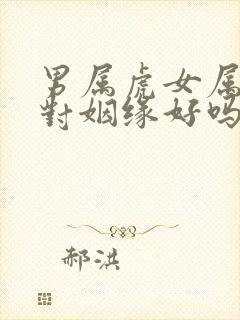 男属虎女属兔配对姻缘好吗封面