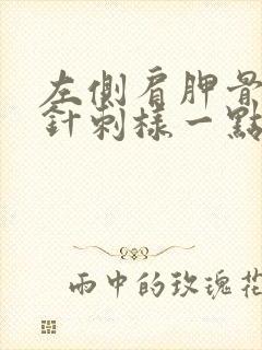 左侧肩胛骨突然针刺样一点疼封面