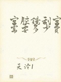 宫腔镜刮宫手术需要多少费用