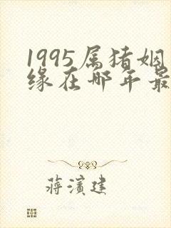 1995属猪姻缘在哪年最旺盛