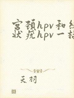 宫颈hpv和丝状疣hpv一样吗