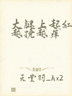 大腿上起红疙瘩越挠越痒