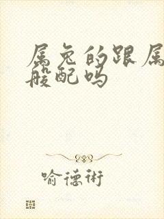 属兔的跟属龙的般配吗