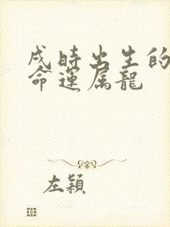 戌时出生的男孩命运属龙