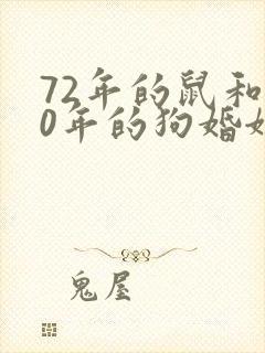 72年的鼠和70年的狗婚姻好吗