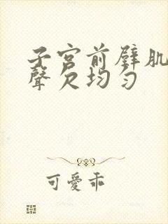 子宫前壁肌壁回声欠均匀封面