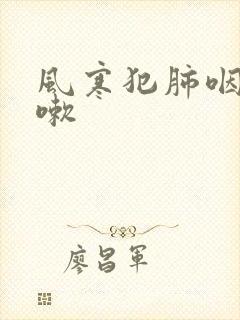 风寒犯肺咽炎咳嗽