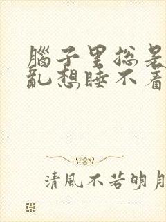 脑子里总是胡思乱想睡不着