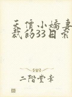 天价小娇妻,总裁的33日索情全文免费封面