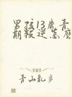 男孩13岁青春期叛逆怎么办封面