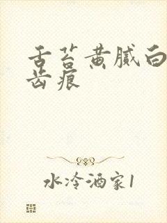 舌苔黄腻白厚有齿痕