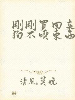 刚刚买回来的小狗不吃东西怎么办