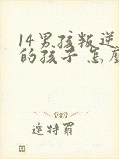 14男孩叛逆期的孩子 怎么去引导