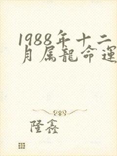1988年十二月属龙命运如何