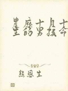 农历十月十五出生的男孩命运怎么样