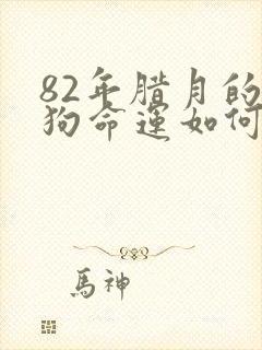 82年腊月的女狗命运如何