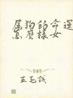 属狗的命运一生怎么样女封面