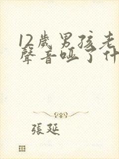 12岁男孩老是声音哑了什么原因